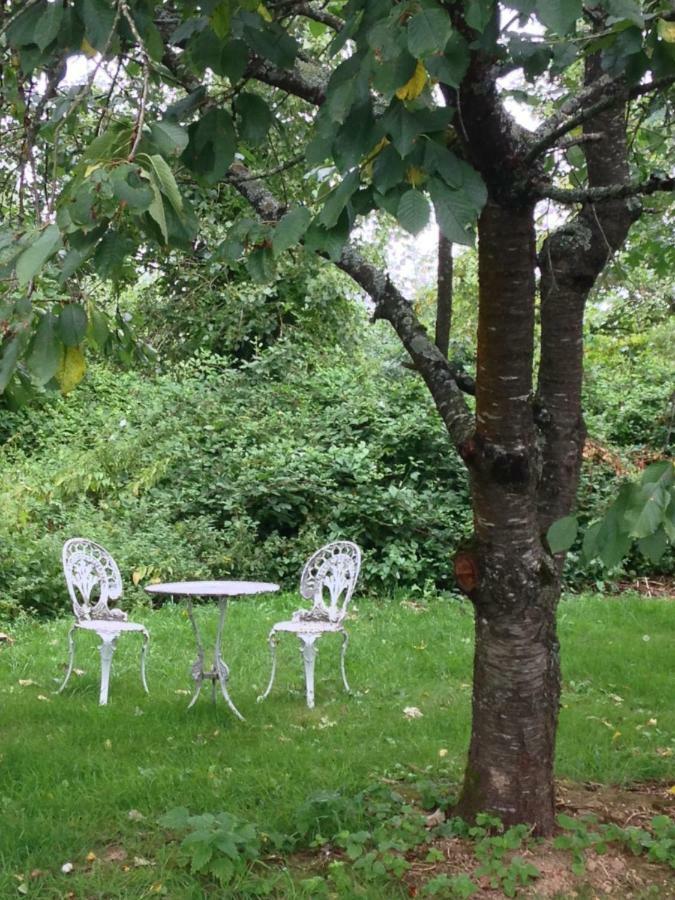 Le Petit Chateau Noyal-Pontivy 外观 照片
